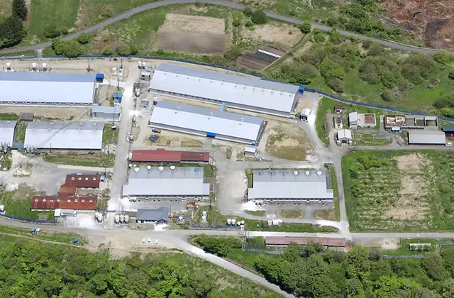 ハイポー原々種豚農場 宮城農場